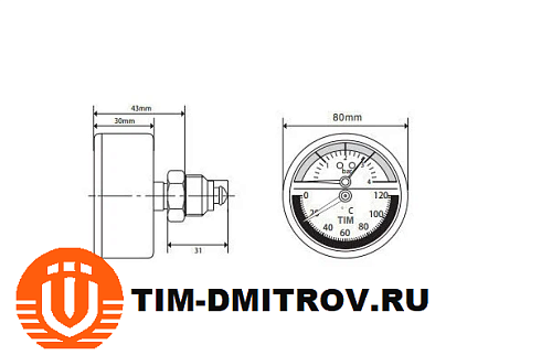 Термоманометр аксиальный, TIM, 4 бар,Y-80T-4